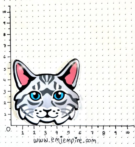 Tabby Silver Cat longhair - Waterproof vinyl decal for car, laptop, phone, water bottle