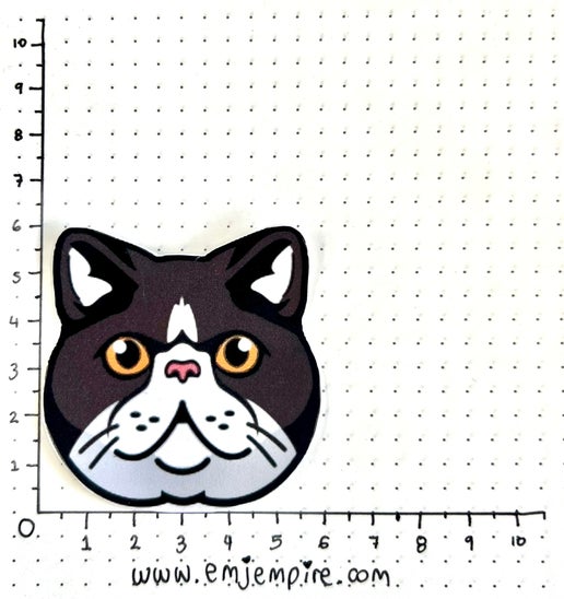 Exotic shorthair Grey Cat - Waterproof vinyl decal for car, laptop, phone, water bottle