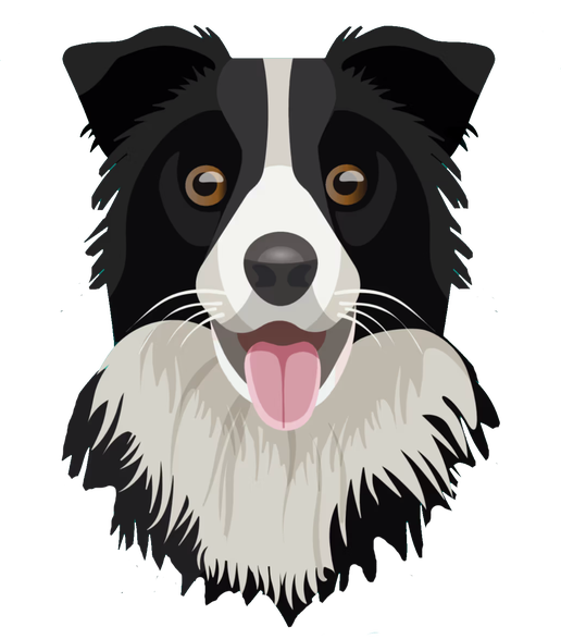 Border Collie Dog sticker - Waterproof vinyl decal for car, laptop, phone, water bottle