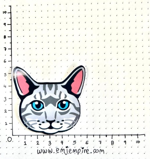 Tabby Silver Cat shorthair - Waterproof vinyl decal for car, laptop, phone, water bottle