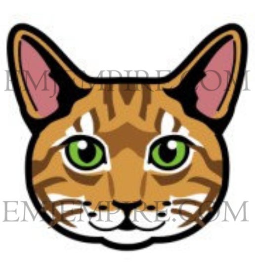 Tabby Orange Cat shorthair - Waterproof vinyl decal for car, laptop, phone, water bottle