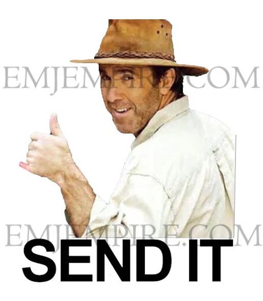 Russell Coight Send it sticker - Waterproof vinyl decal for car, laptop, phone, water bottle