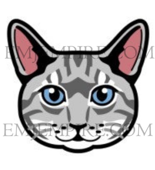 Tabby Silver Cat shorthair - Waterproof vinyl decal for car, laptop, phone, water bottle