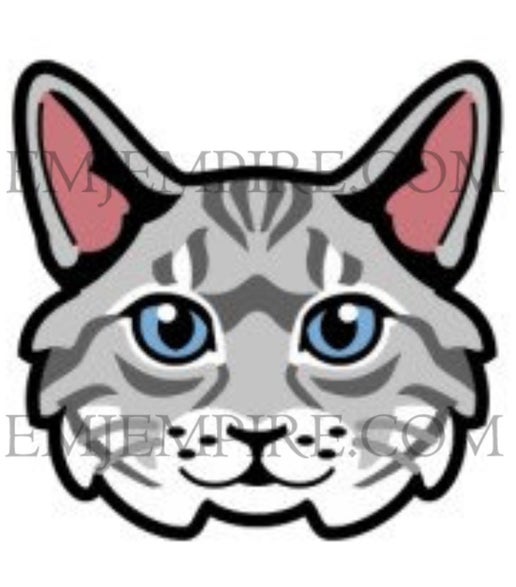 Tabby Silver Cat longhair - Waterproof vinyl decal for car, laptop, phone, water bottle