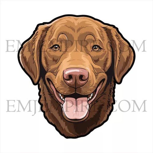 Labrador brown Dog sticker - Waterproof vinyl decal for car, laptop, phone, water bottle