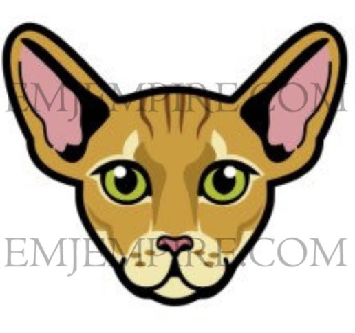 Peterbald Tan Cat shorthair - Waterproof vinyl decal for car, laptop, phone, water bottle