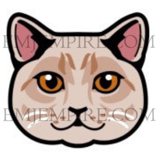 British Shorthair Tan Cat - Waterproof vinyl decal for car, laptop, phone, water bottle