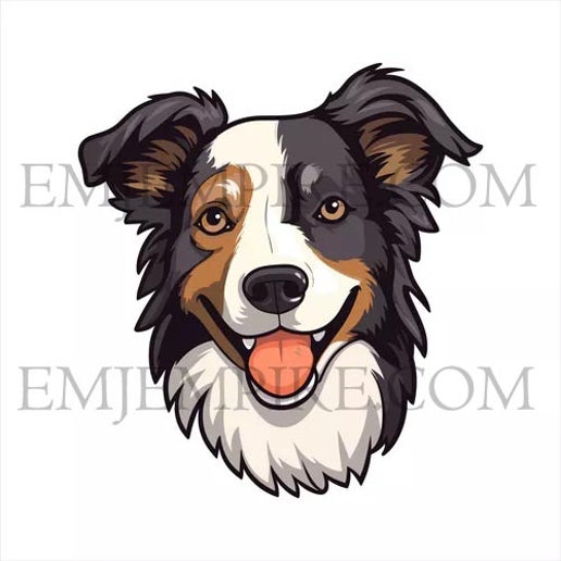 Border Collie tri Dog sticker - Waterproof vinyl decal for car, laptop, phone, water bottle