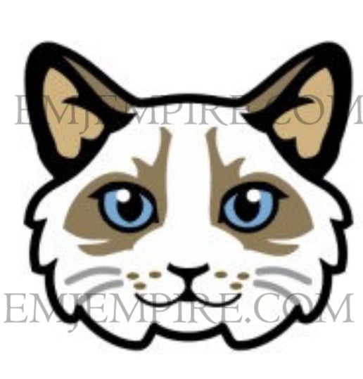 Ragdoll Light coloured Cat longhair - Waterproof vinyl decal for car, laptop, phone, water bottle